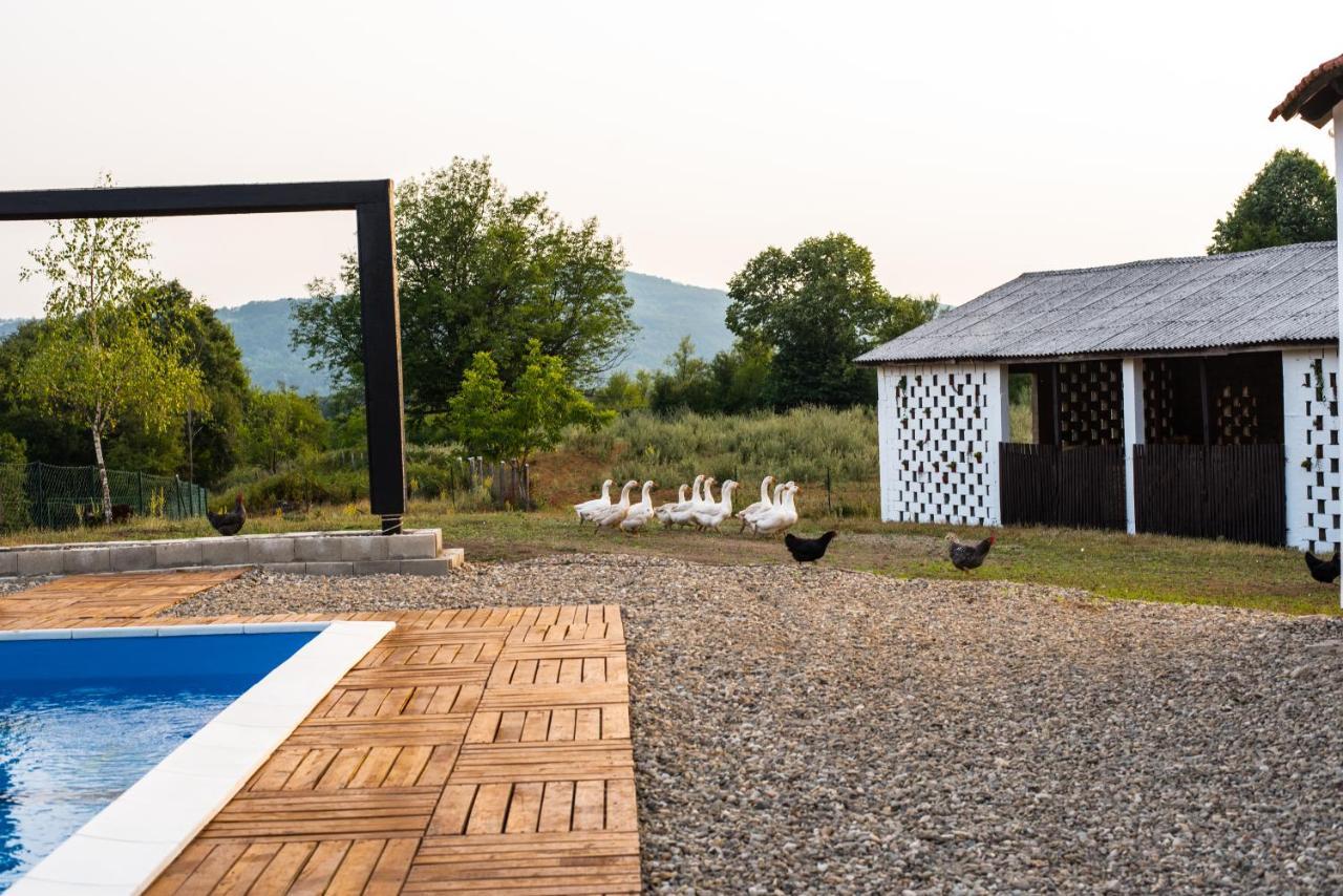 Skriveni Raj Pension Gornji Milanovac Buitenkant foto