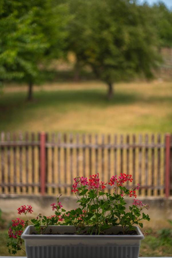 Skriveni Raj Pension Gornji Milanovac Buitenkant foto