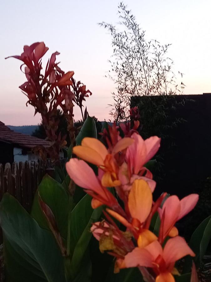 Skriveni Raj Pension Gornji Milanovac Buitenkant foto